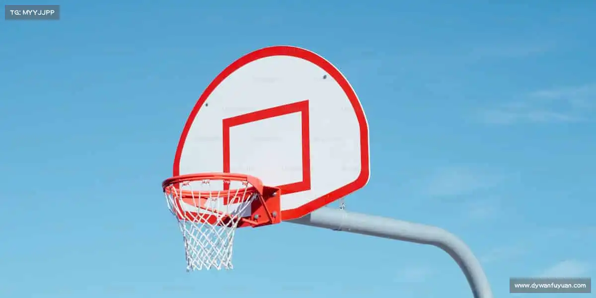 为什么选择我们